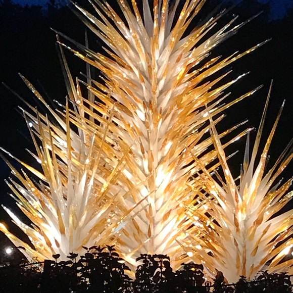 Meet your Posher, Debbie - Picture 1 of 1